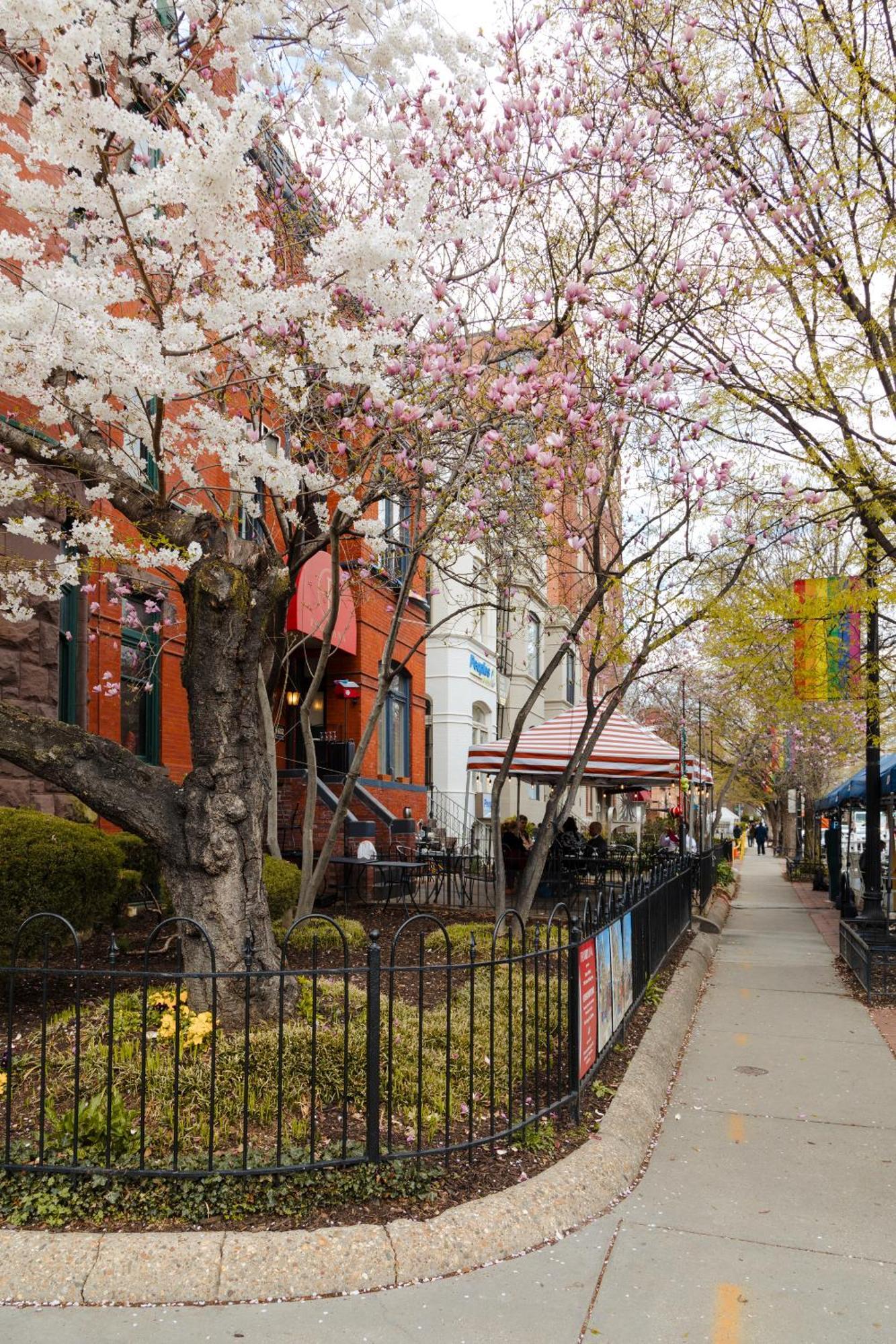 Dupont Circle Embassy Inn By Found Вашингтон Экстерьер фото